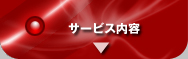 �T�[�r�X���e